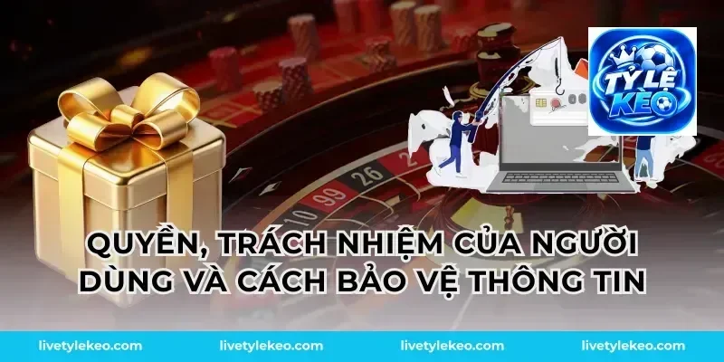Quyền, trách nhiệm của người dùng và cách bảo vệ thông tin