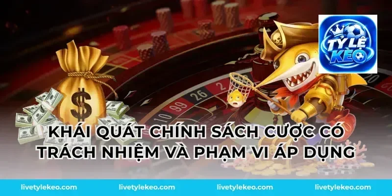 Khái quát chính sách cược có trách nhiệm và phạm vi áp dụng