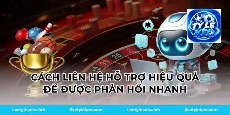 Cách liên hệ hỗ trợ hiệu quả để được phản hồi nhanh